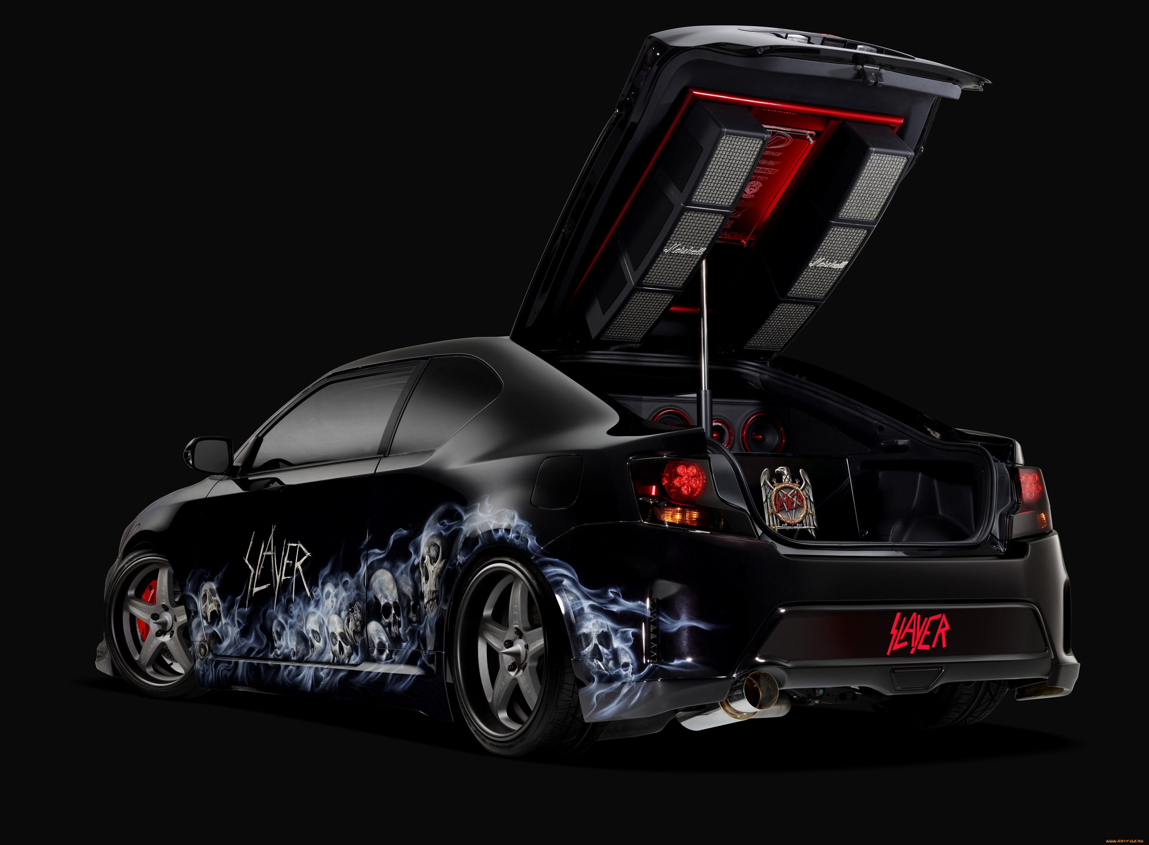 , scion